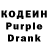 Кодеин Purple Drank Slavinskiy A.