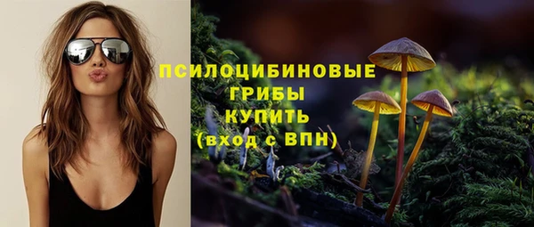 прущая мука Белокуриха