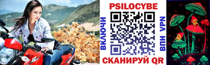 магазин продажи   Тында  Псилоцибиновые грибы Psilocybe 